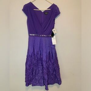 Adrianna Papell women’s Purple Dress with Embellished Waist size 10